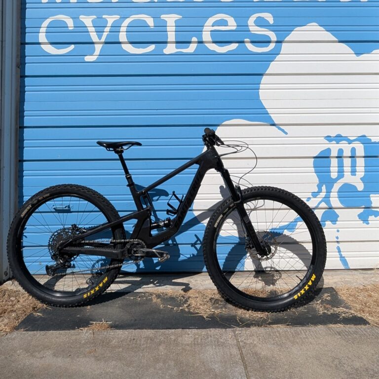 Santa Cruz 5010 Small